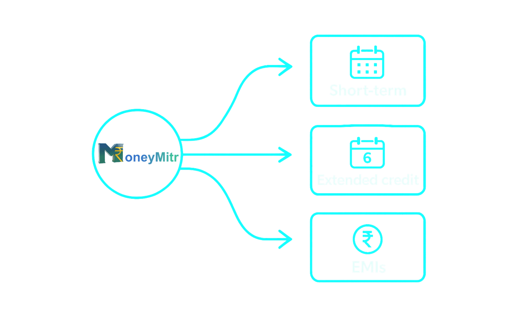 Hybrid Repayment Model